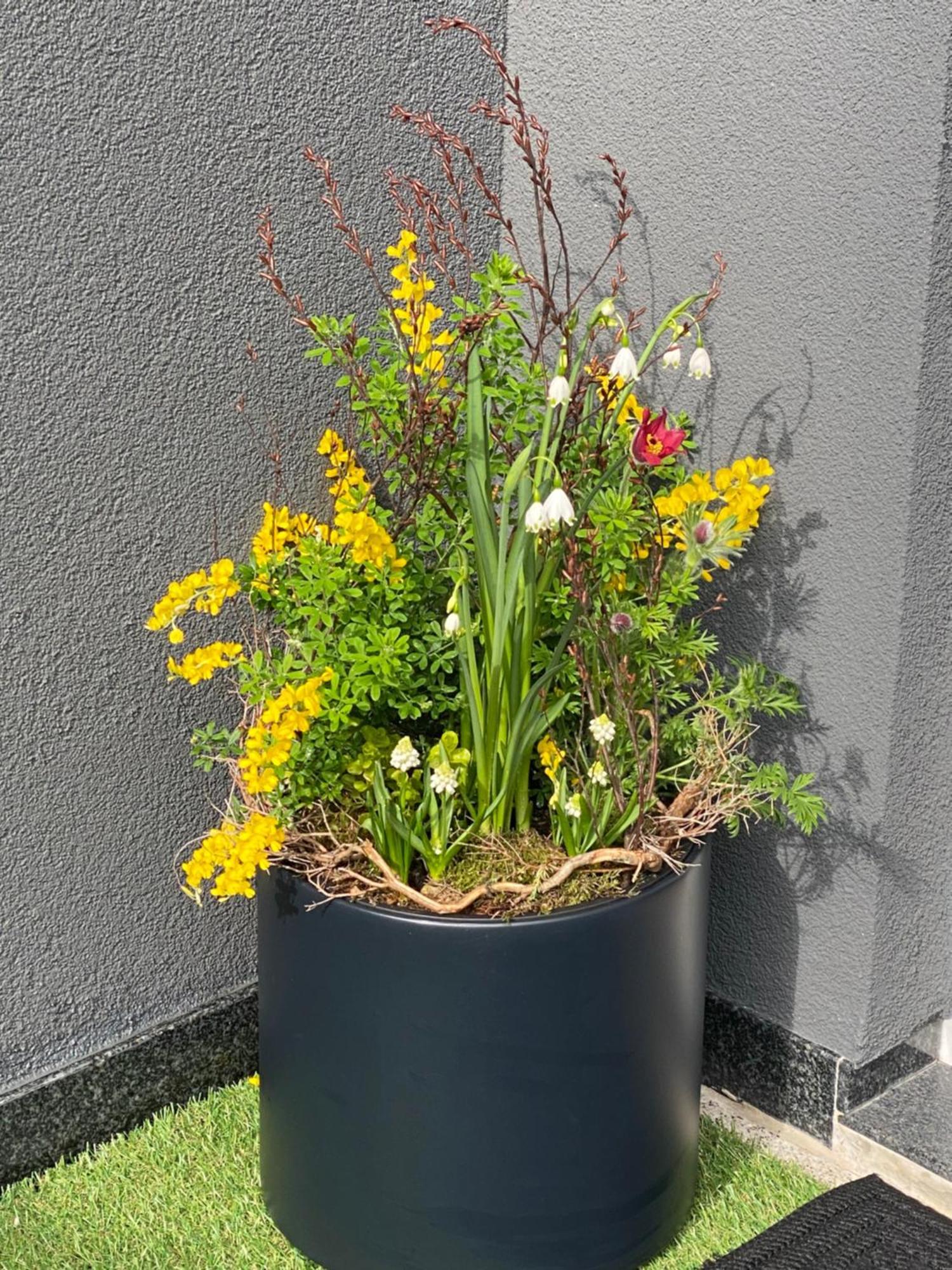 2 Zimmer Ferienunterkunft Gemeinsame Zeit Appenweier Exterior foto